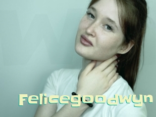 felicegoodwyn Wanna Meet