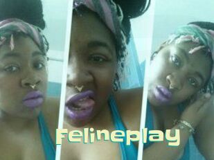 Felineplay