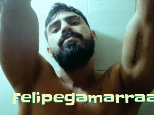 felipegamarraa Wanna Meet