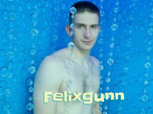 Felixgunn