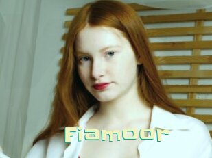 fiamoor Wanna Meet