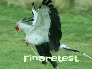 Finaretest