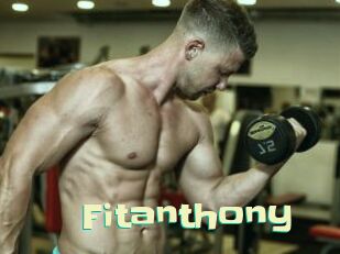 fitanthony Wanna Meet