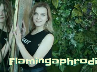 Flamingaphrodi