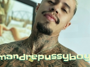 Ftmandrepussyboy