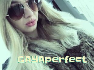 GAYAperfect