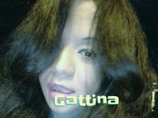 Gattina