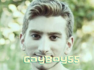 GayBoy55