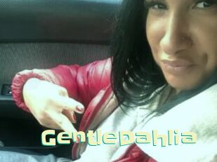 GentleDahlia