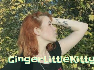 GingerLittleKitty
