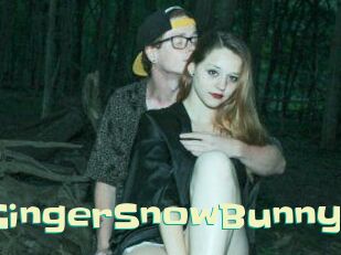 GingerSnowBunny