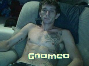 Gnomeo Wanna Meet