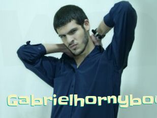 gabrielhornyboy Wanna Meet