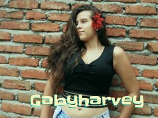 Gabyharvey
