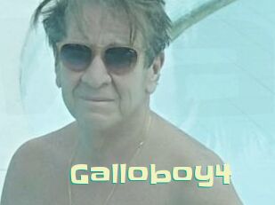 Galloboy4