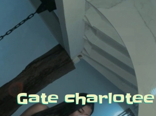 Gate_charlotee