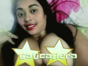 Gaticafiera