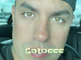 Gatoccc
