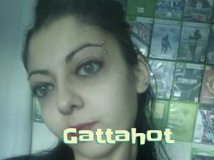 Gattahot