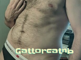 gattorcatnb Wanna Meet