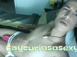 Gaycuriososexy