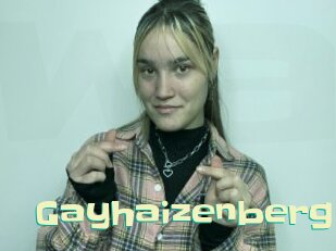 Gayhaizenberg
