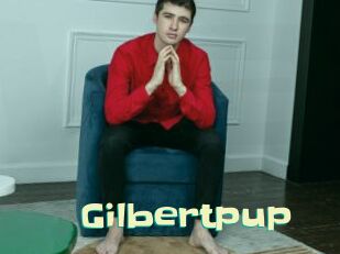 Gilbertpup
