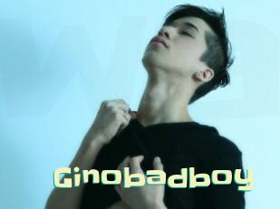 Ginobadboy