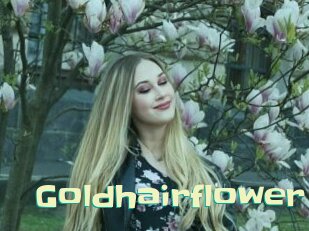 Goldhairflower