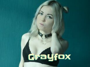 Grayfox