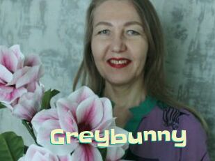 Greybunny
