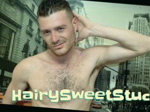 HairySweetStud