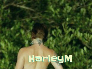 HarleyM