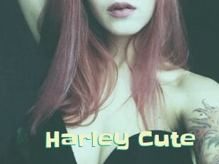 Harley_Cute