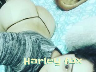 Harley_fox