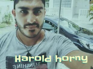 Harold_horny Wanna Meet