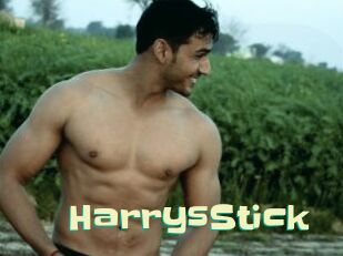 HarrysStick