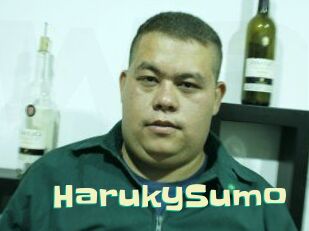Haruky_Sumo Wanna Meet