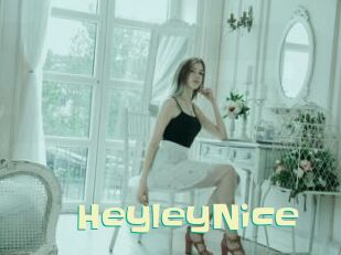 HeyleyNice Wanna Meet