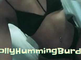 Holly_HummingBurd