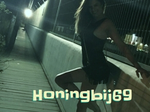Honingbij69
