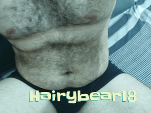 Hairybear18
