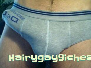 Hairygay9iches