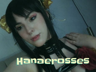 hanaerosses Wanna Meet