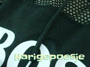 Harigepoesje