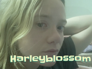 Harleyblossom