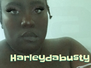 harleydabusty Wanna Meet