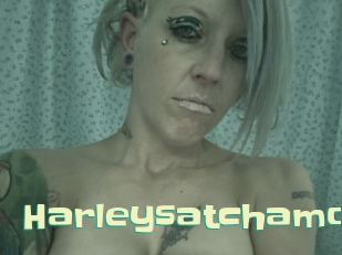 Harleysatchamo