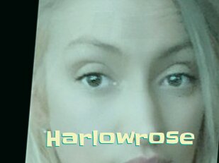 Harlowrose