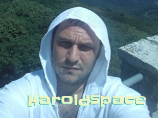 Haroldspace